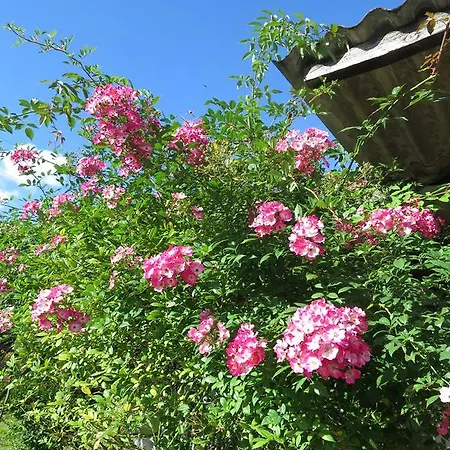 Daire Paradiesli Am Hochrhein *