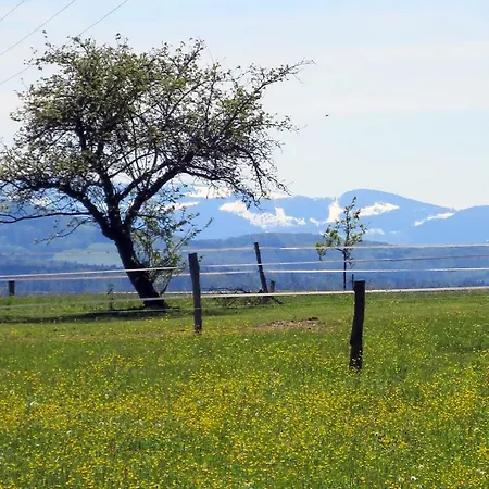 Paradiesli Am Hochrhein Rheinfelden (Baden)