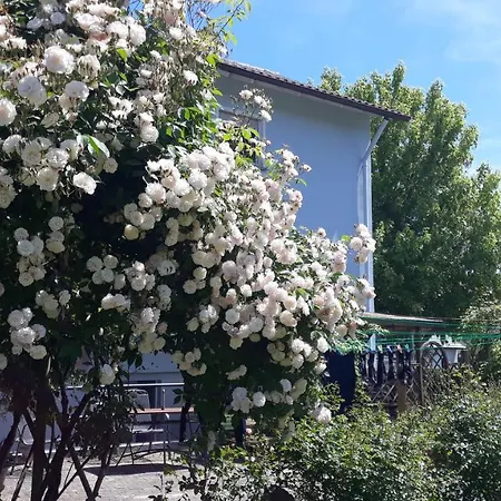 Paradiesli Am Hochrhein * Rheinfelden (Baden)